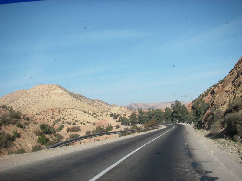 IMGP0414.JPG