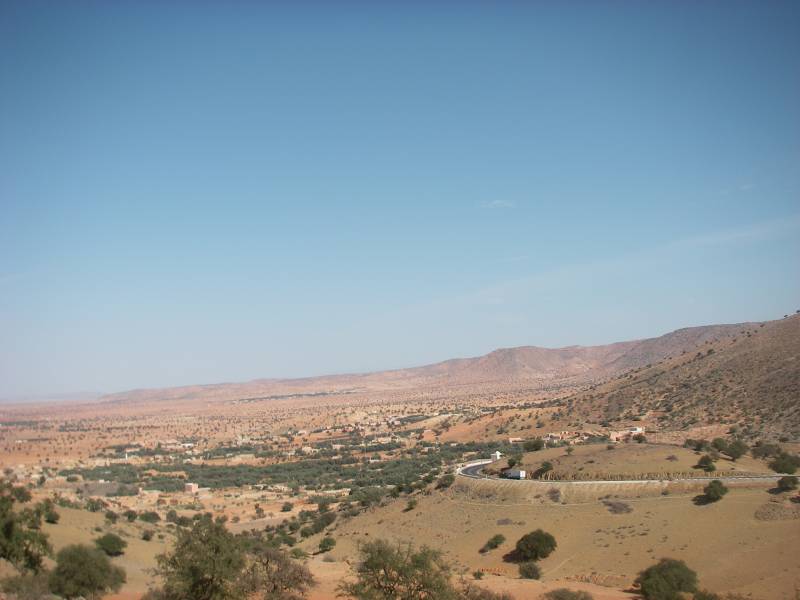 IMGP0439.JPG