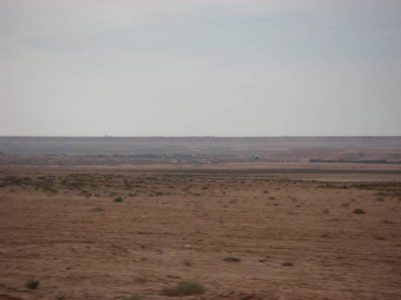 IMGP0453.JPG