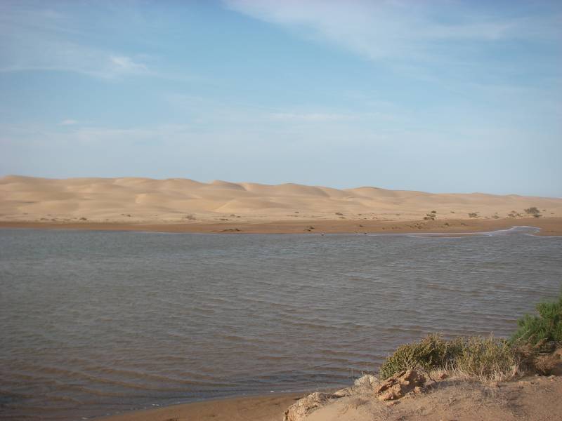 IMGP0472.JPG