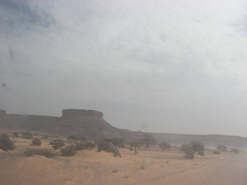 IMGP0635.JPG