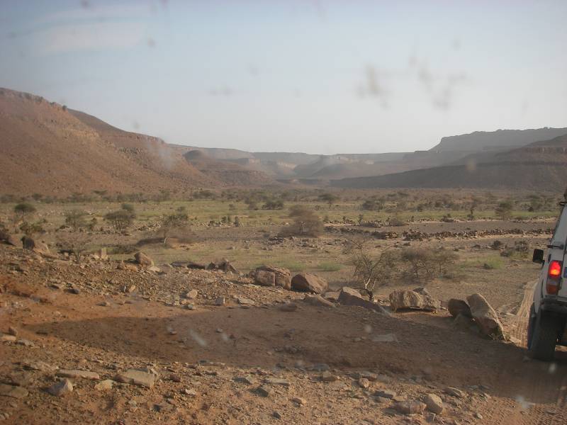 IMGP0699.JPG