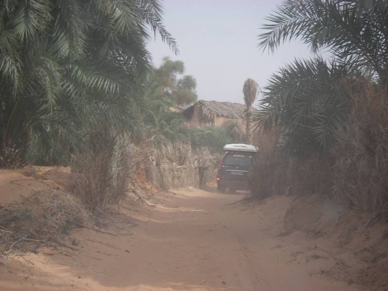 IMGP0891.JPG