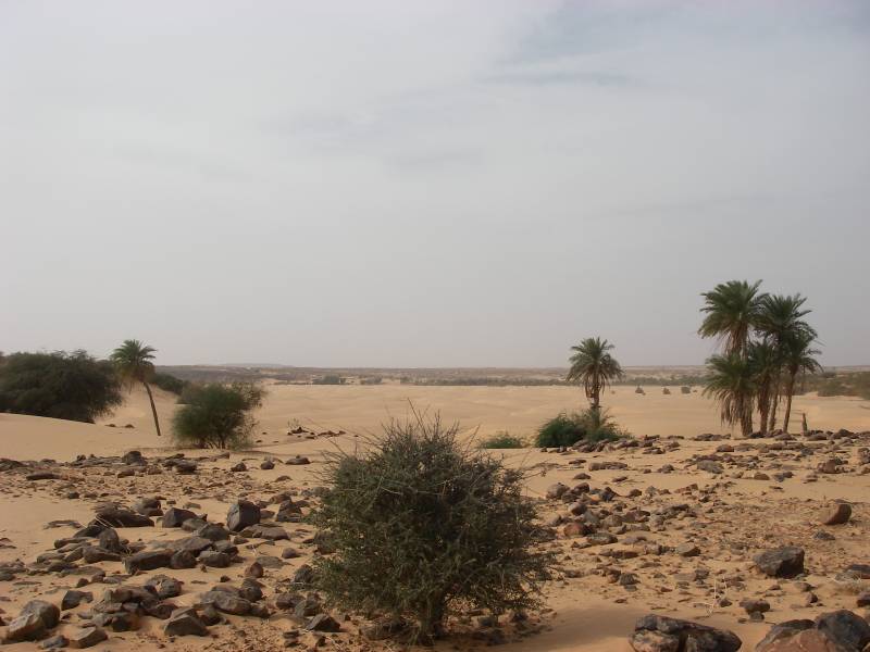 IMGP0919.JPG