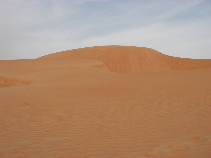 IMGP0946.JPG