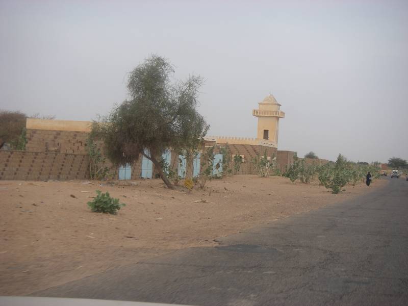 IMGP1191.JPG