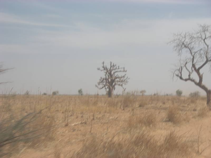 IMGP1387.JPG