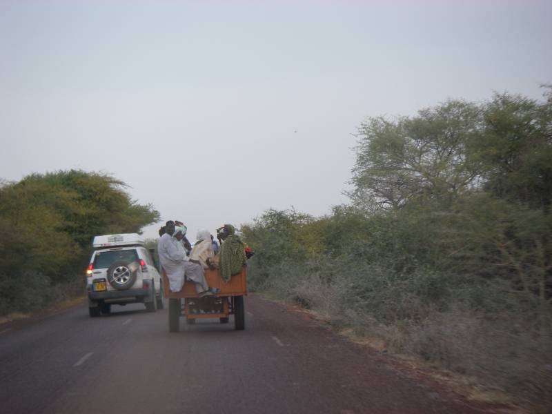 IMGP1421.JPG