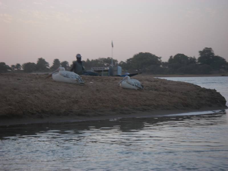 IMGP1713.JPG