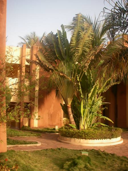 IMGP1993.JPG