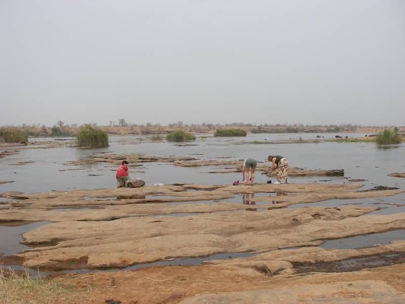 IMGP2126.JPG