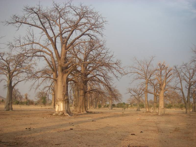 IMGP2230.JPG