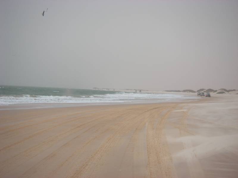 IMGP2608.JPG