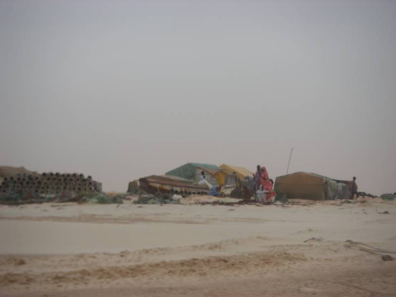 IMGP2621.JPG