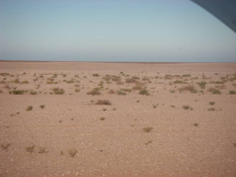 IMGP2671.JPG