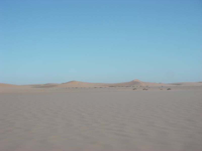 IMGP2717.JPG