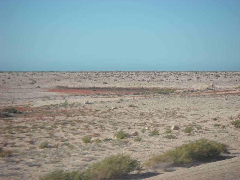 IMGP2766.JPG