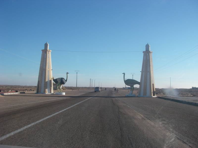 IMGP2817.JPG