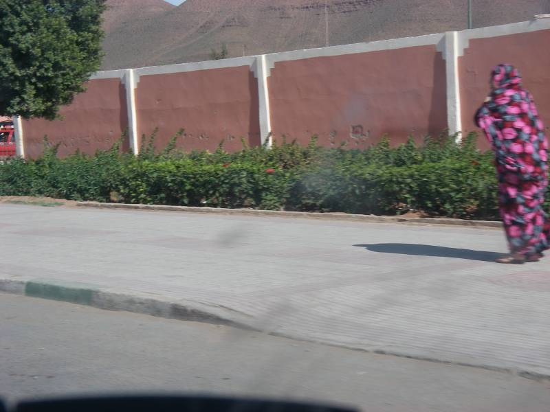 IMGP2877.JPG