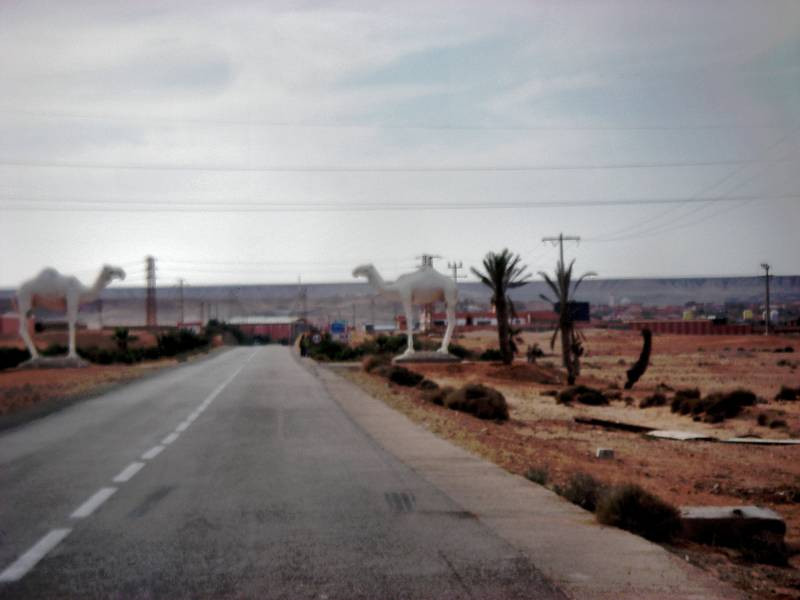 Imgp0455.jpg