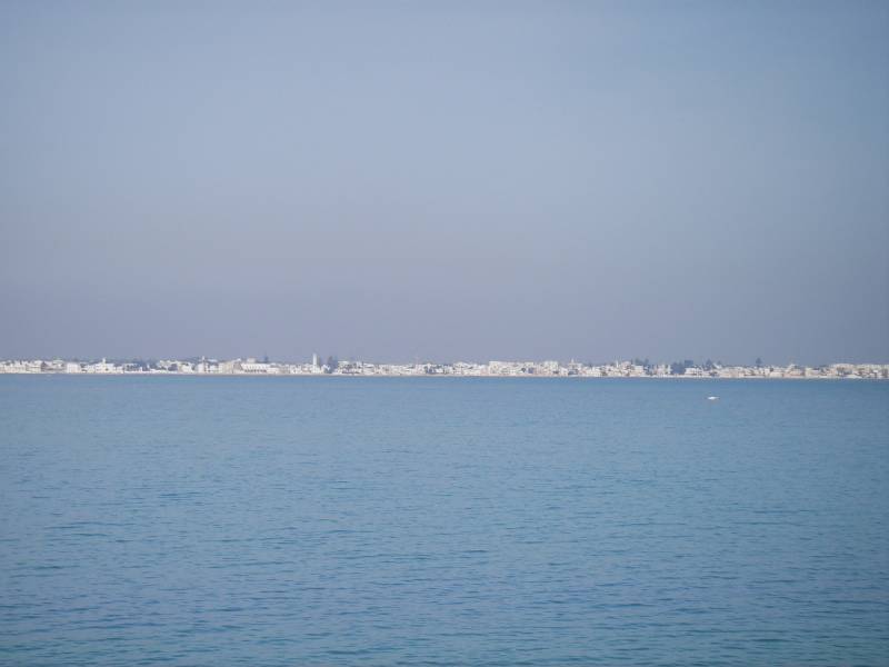 IMGP0506.JPG
