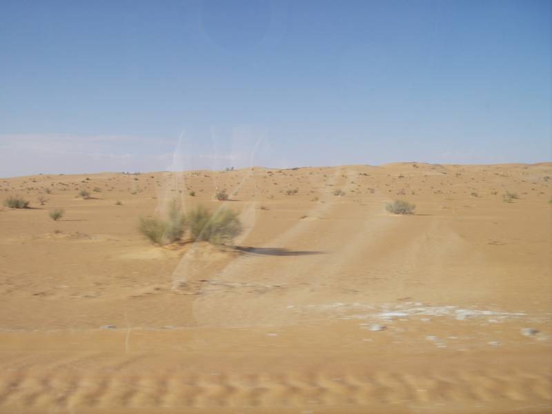 IMGP0747.JPG