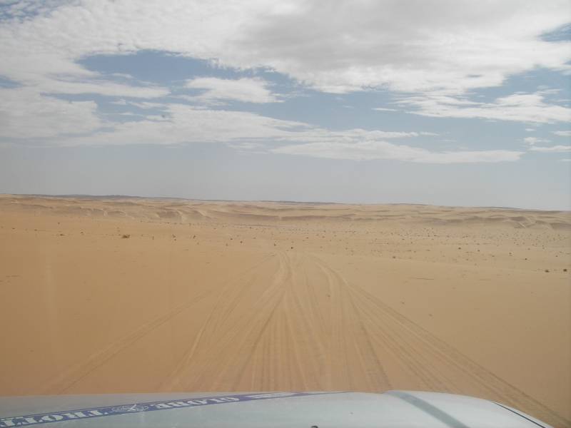 IMGP0800.JPG