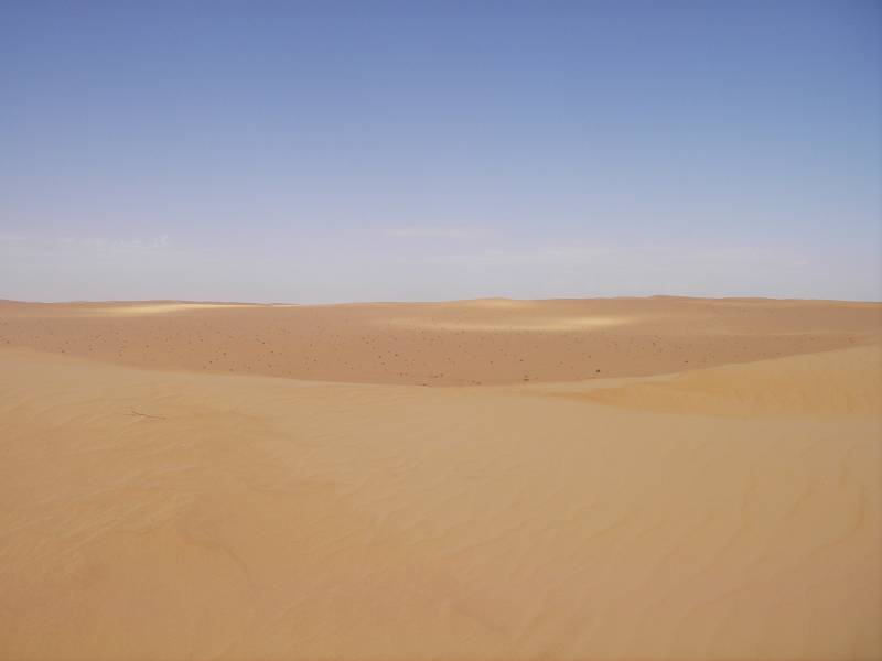IMGP0804.JPG