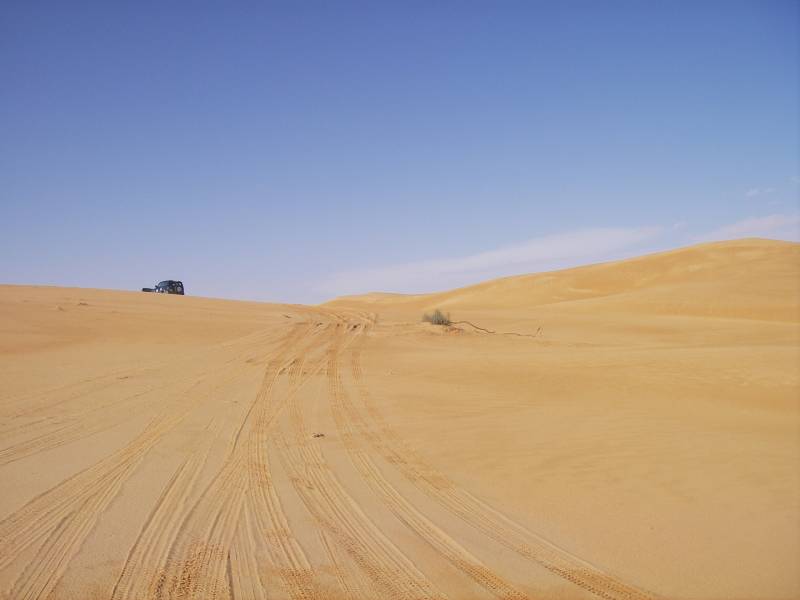 IMGP0811.JPG