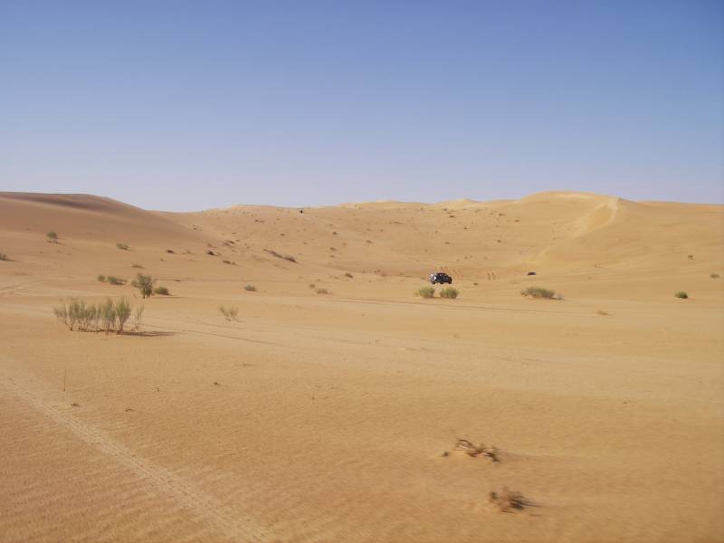 IMGP0823.JPG