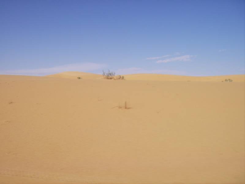 IMGP0824.JPG
