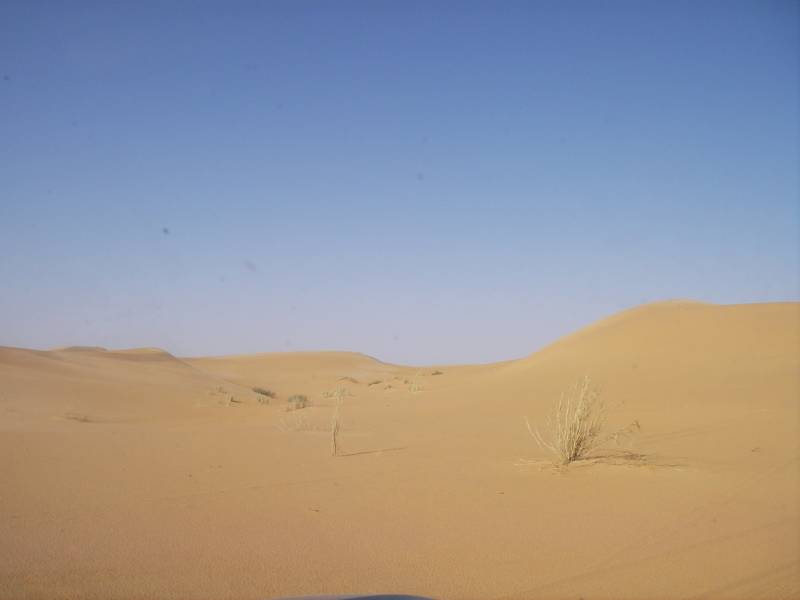 IMGP0874.JPG