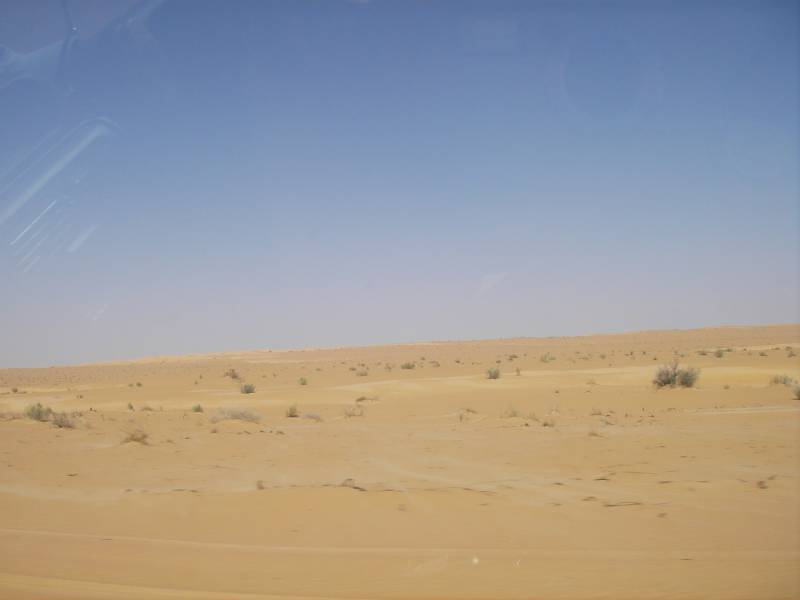 IMGP0885.JPG