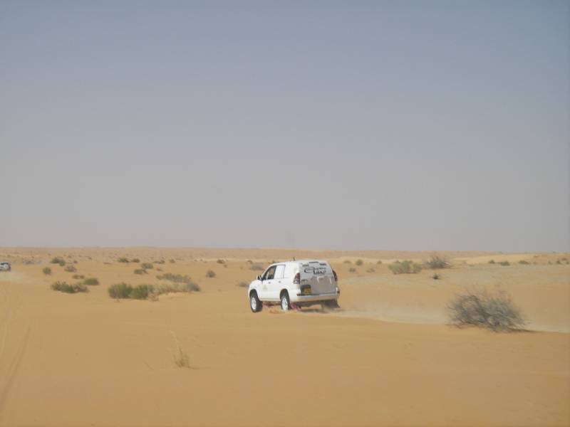 IMGP0889.JPG