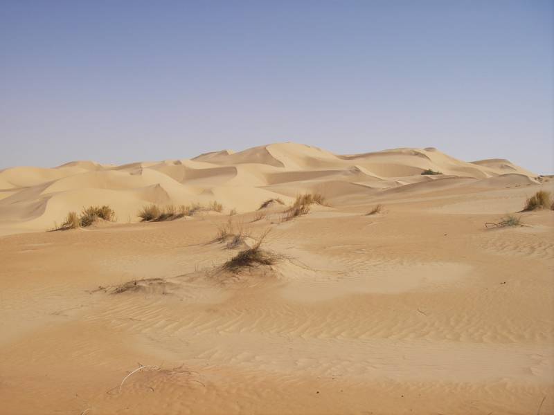 IMGP0890.JPG