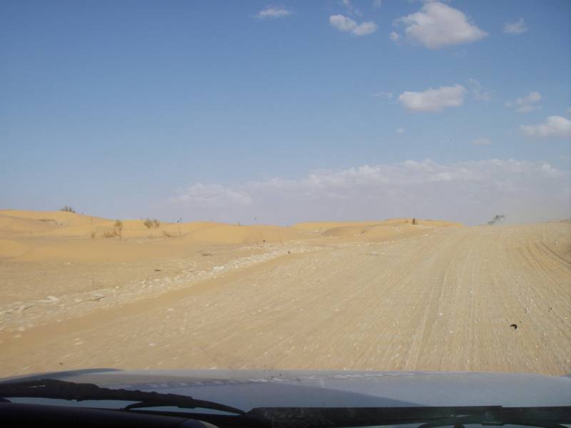 IMGP0900.JPG