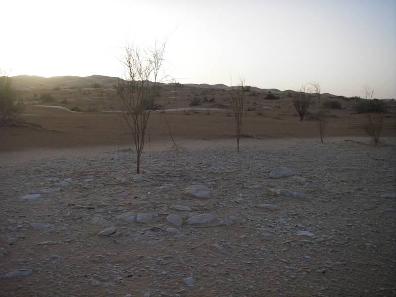 IMGP0910.JPG