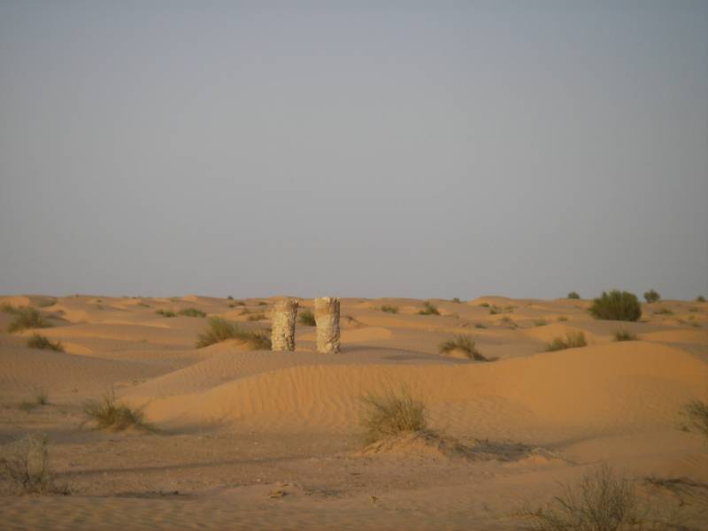 IMGP0970.JPG