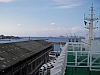 IMGP0487.JPG