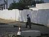 IMGP0569.JPG