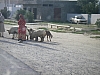 IMGP0575.JPG