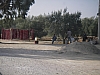 IMGP0582.JPG