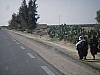 IMGP0586.JPG