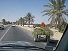 IMGP0622.JPG