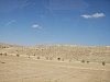 IMGP0639.JPG