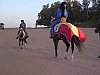 IMGP0644-30.JPG