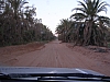 IMGP0644-31.JPG