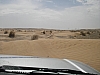 IMGP0679.JPG