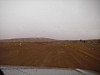 IMGP0707.JPG