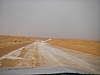IMGP0711.JPG